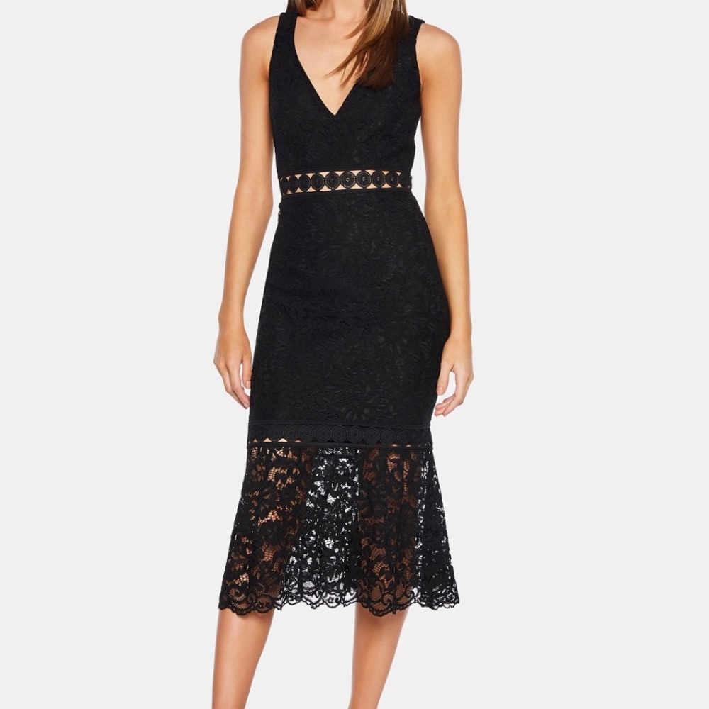 Bardot Fiona Lace Mesh Trumpet Dress